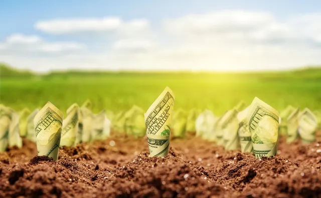 money-making online